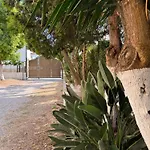 Edda Maison Centralissimo Sul Lungomare Con Posto Auto E Giardino Privato * スペルロンガ