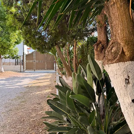 Edda Maison Centralissimo Sul Lungomare Con Posto Auto E Giardino Privato * Sperlonga