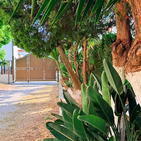 Bed & Breakfast Edda Maison Centralissimo Sul Lungomare Con Posto Auto E Giardino Privato